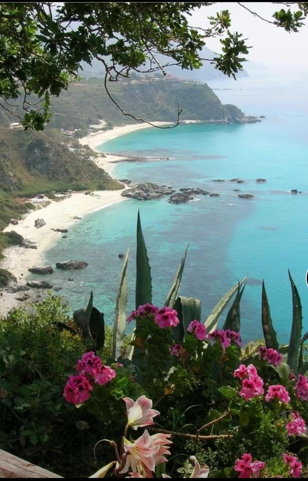 Giardino Sul Mare Lägenhet Vibo Valentia Exteriör bild